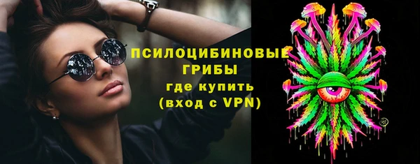 ПСИЛОЦИБИНОВЫЕ ГРИБЫ Михайловск