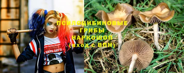 Альфа ПВП Михайлов