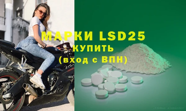 ПСИЛОЦИБИНОВЫЕ ГРИБЫ Михайловск