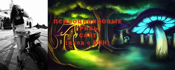 тгк Михайловка